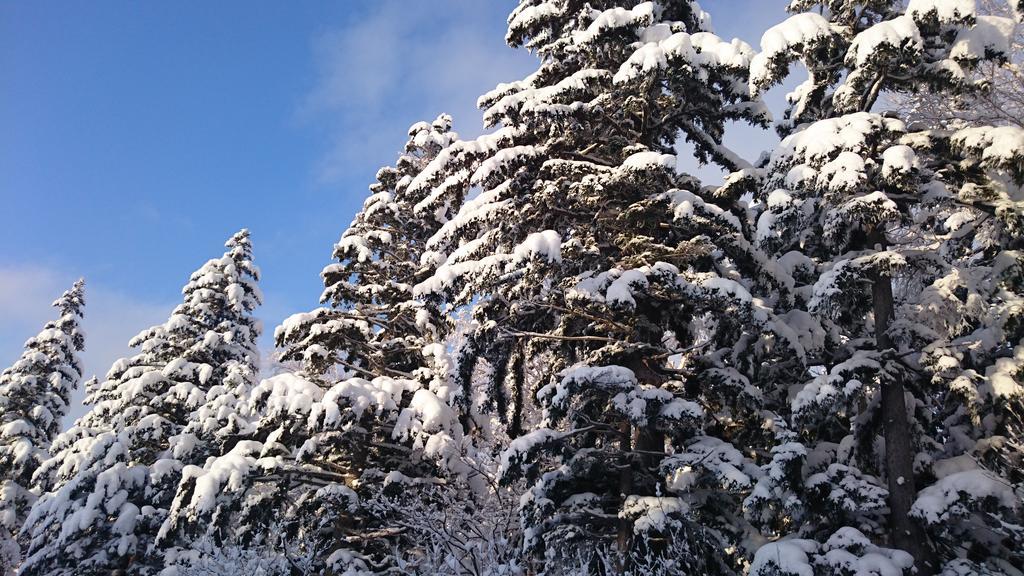 Ryounkaku Kamifurano Buitenkant foto